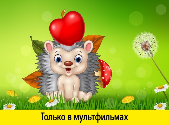 17 ответов на вопросы, которые вы хотели знать, но ленились гуглить 17 ответов на вопросы, которые вы хотели знать, но ленились гуглить