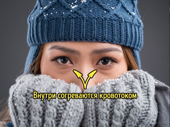 17 ответов на вопросы, которые вы хотели знать, но ленились гуглить 17 ответов на вопросы, которые вы хотели знать, но ленились гуглить