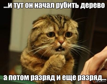 Барсиик!!!
