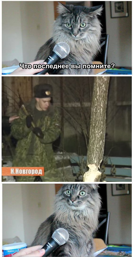 Барсиик!!!