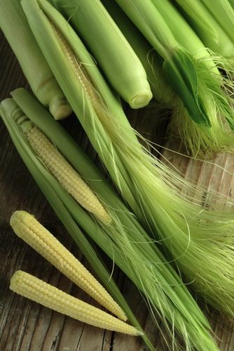 11 продуктов питания, которые растут необычным образом 11 продуктов питания, которые растут необычным образом