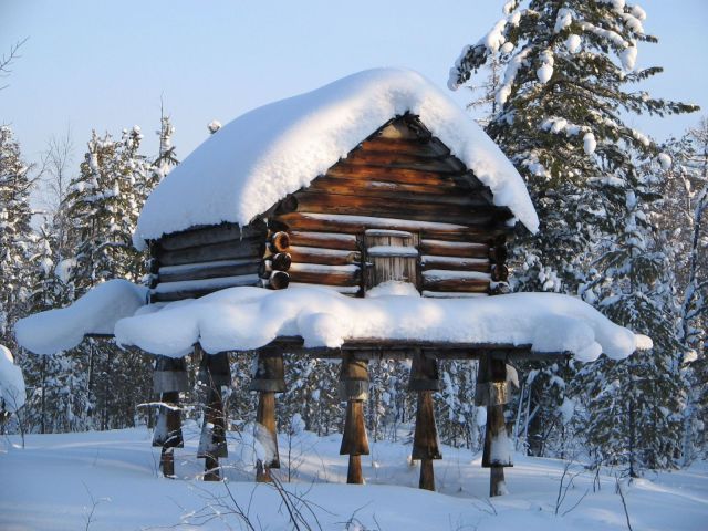 Прикольные картинки