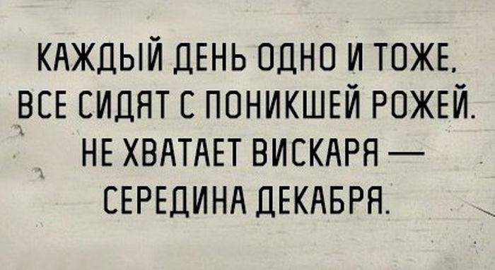 Прикольные картинки (86 фото)