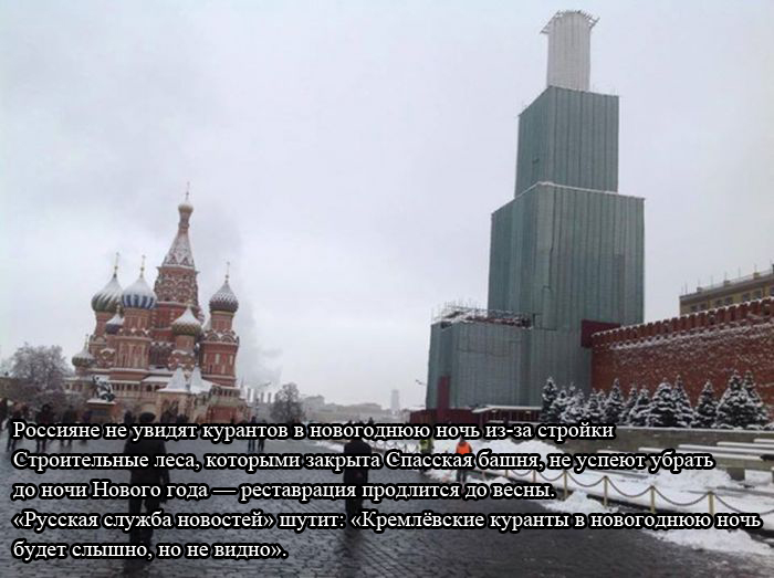 Прикольные картинки (86 фото)