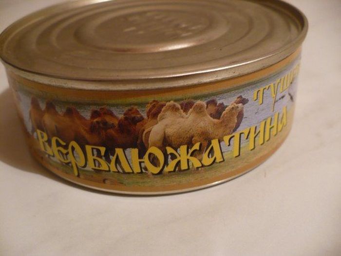 Прикольные картинки (86 фото)