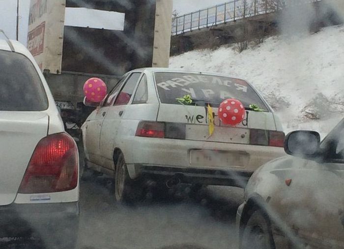 Прикольные картинки (86 фото)