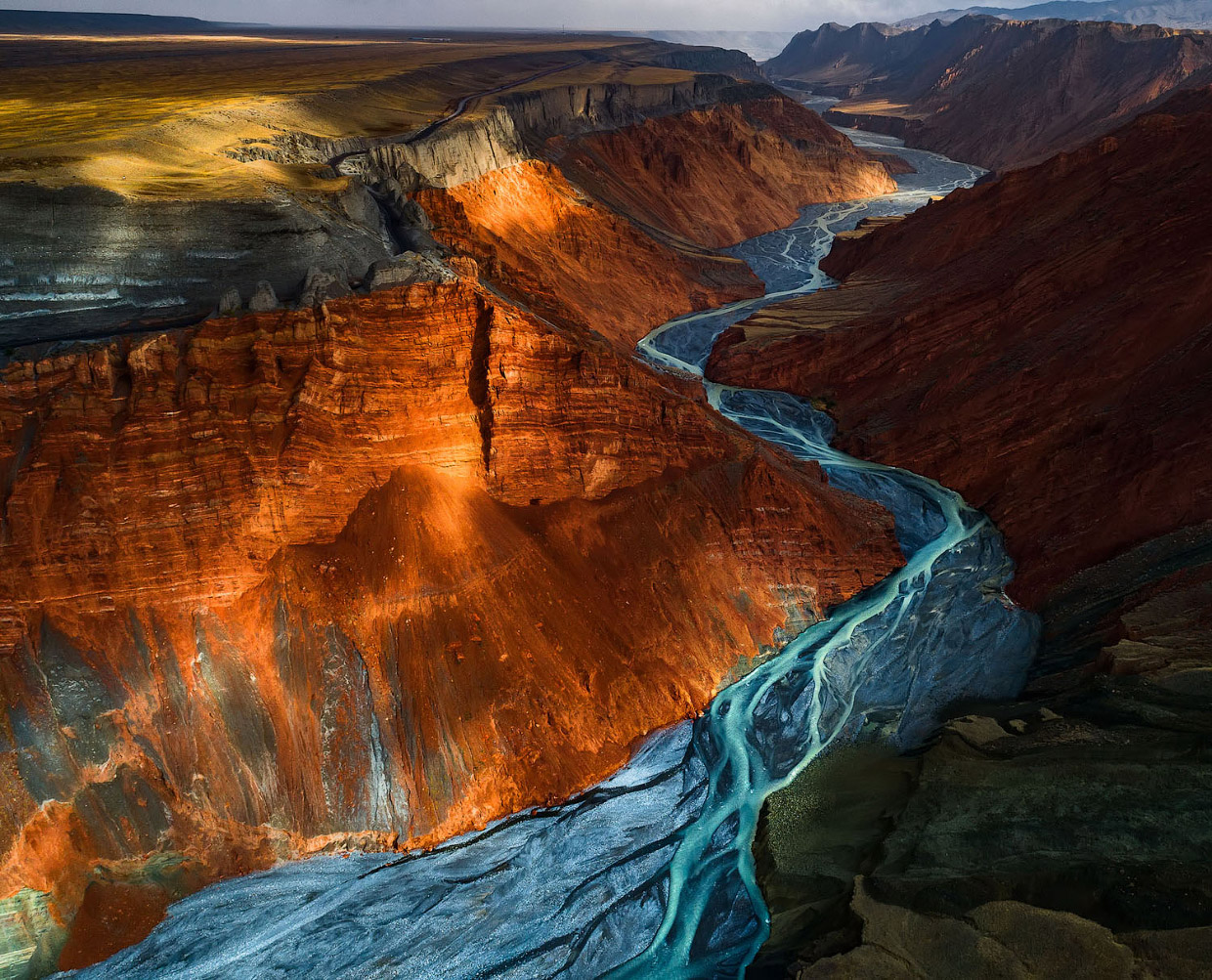 Фотографии победителей National Geographic Nature Photographer 2017 Фотографии победителей National Geographic Nature Photographer 2017