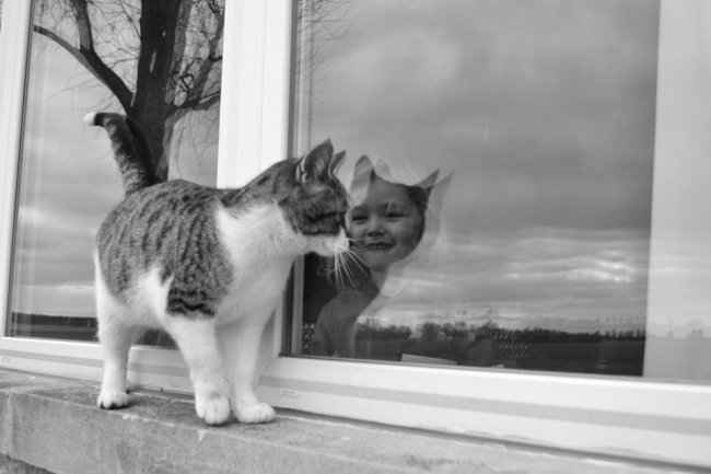 26 фотографий, с которыми сама камера сыграла злую шутку 26 фотографий, с которыми сама камера сыграла злую шутку