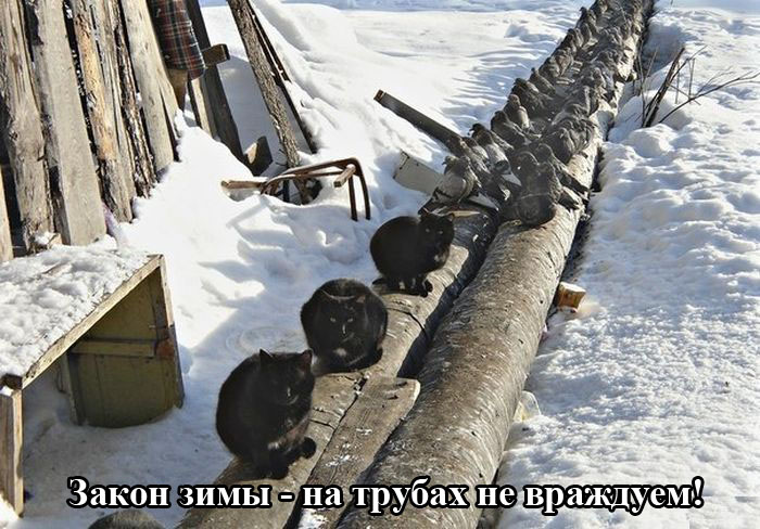 Порция картинок: 16.02.15