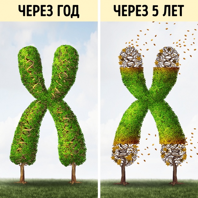10 вещей, которые происходят с вашим телом, когда вы сидите по 8 часов в день 10 вещей, которые происходят с вашим телом, когда вы сидите по 8 часов в день