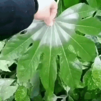 И такое бывает И такое бывает