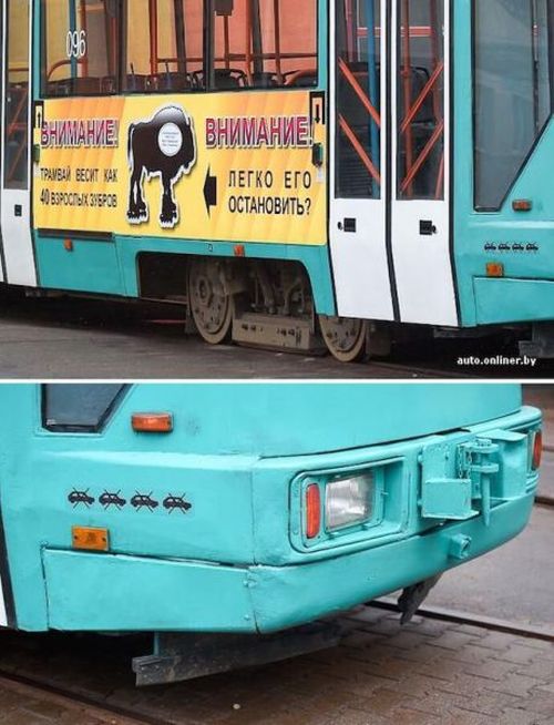 Порция картинок