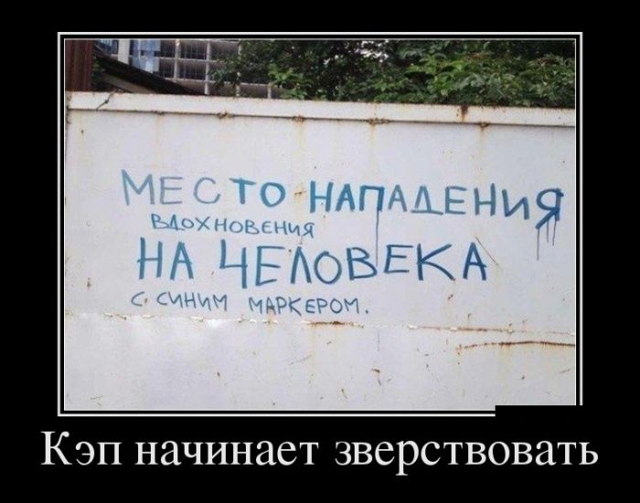 Демотиваторы