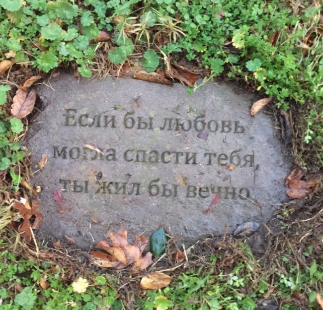 15 фотографий, в которых вся любовь этого мира 15 фотографий, в которых вся любовь этого мира