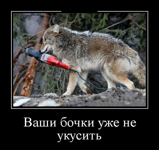 Демотиваторы