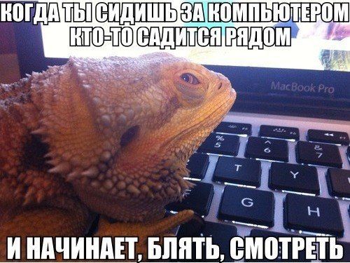 Прикольные картинки  (101 фото)