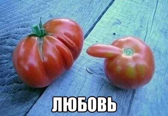 Прикольные картинки  (101 фото)