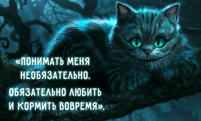 30 мудростей Чеширского Кота 30 мудростей Чеширского Кота
