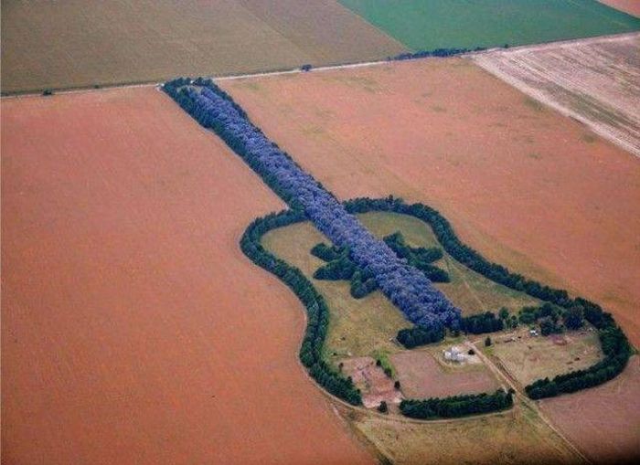 Удивительные вещи