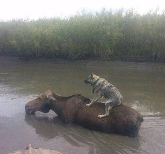 Зрелищные фото, которые не нуждаются в комментариях