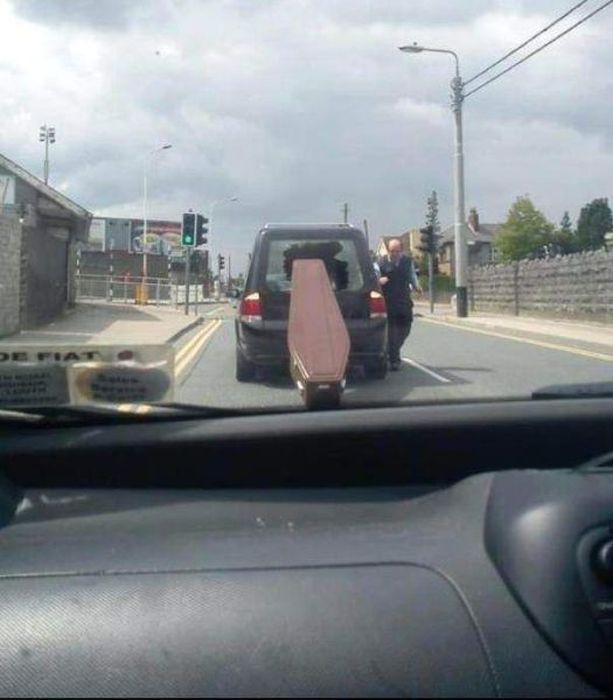 Прикольные картинки