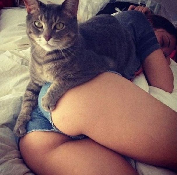 Прикольные картинки