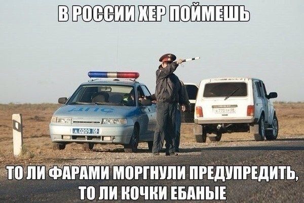 Прикольные картинки (88 фото)