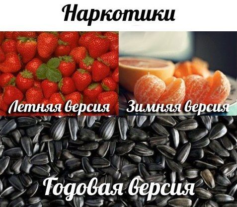 Прикольные картинки (88 фото)