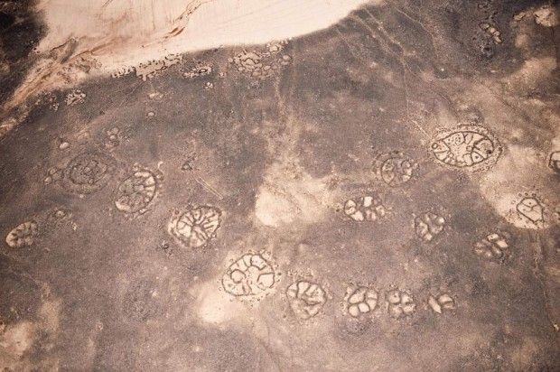 Таинственные находки, происхождение которых до сих пор неизвестно (17 фото) Таинственные находки, происхождение которых до сих пор неизвестно (17 фото)