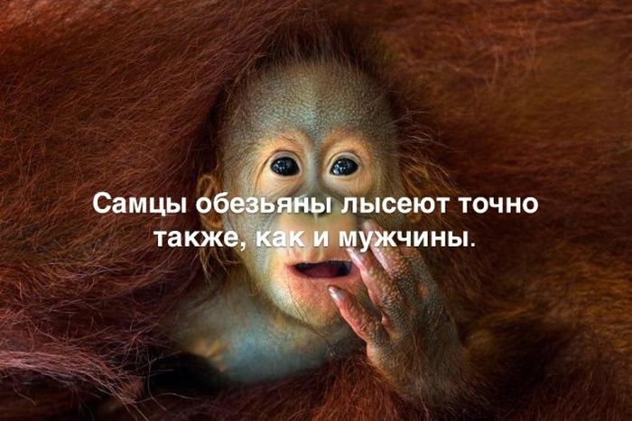 Любопытные и интересные факты обо всем на свете