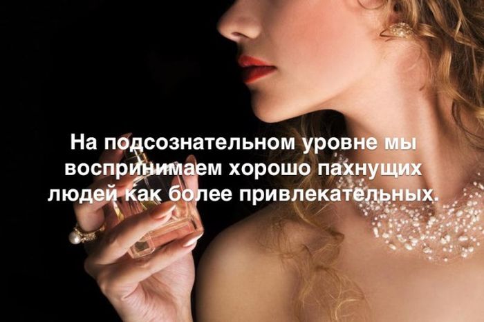 Любопытные и интересные факты обо всем на свете