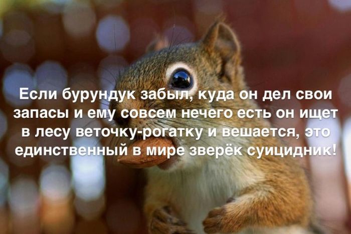 Любопытные и интересные факты обо всем на свете