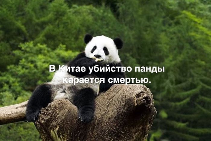 Любопытные и интересные факты обо всем на свете