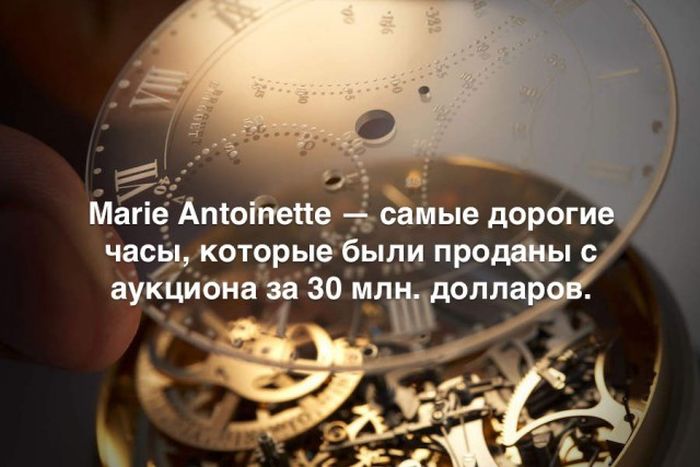 Любопытные и интересные факты обо всем на свете