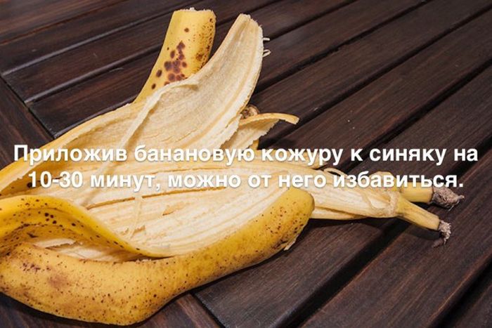 Любопытные и интересные факты обо всем на свете