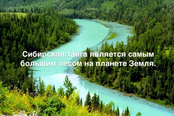 Любопытные и интересные факты обо всем на свете