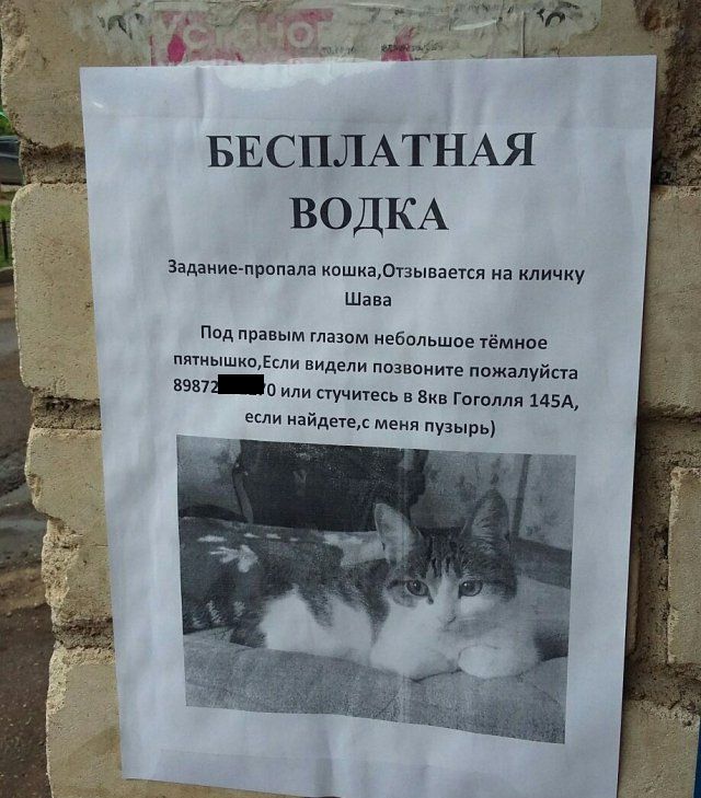 Подборка о нашей смекалке и находчивости