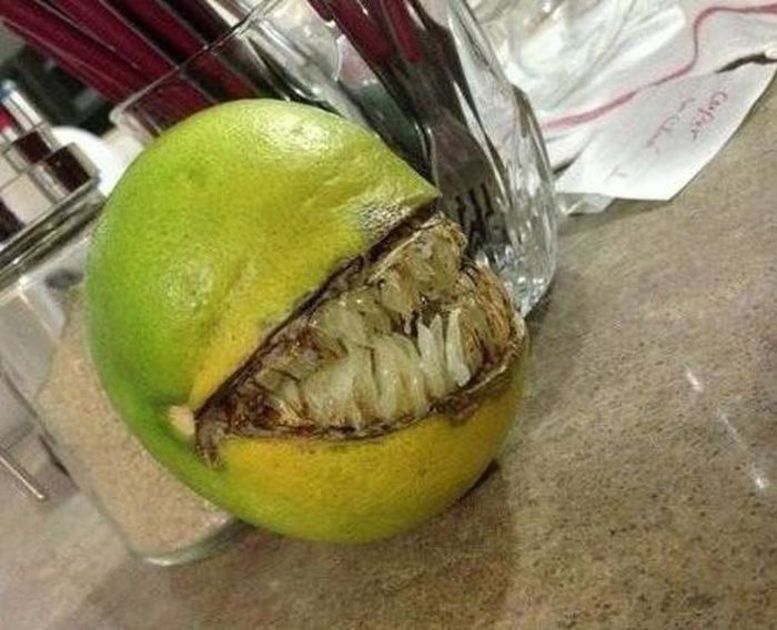 Странные и жуткие фото
