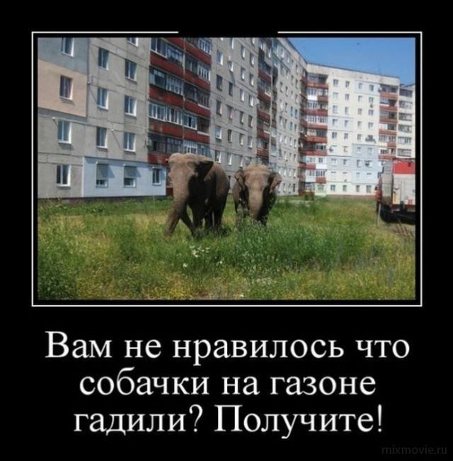 Демотиваторы