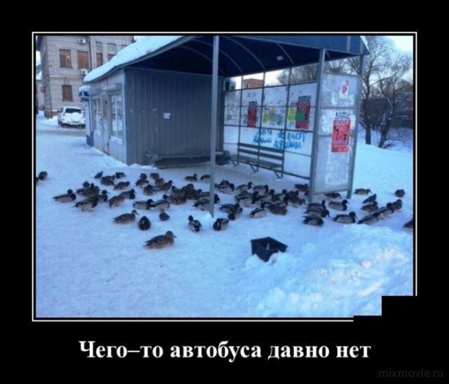 Демотиваторы