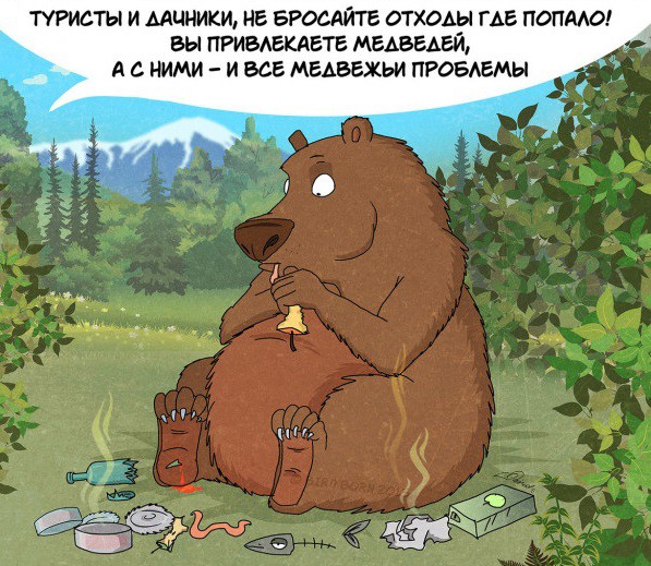 Факты которые нужно знать о медведях