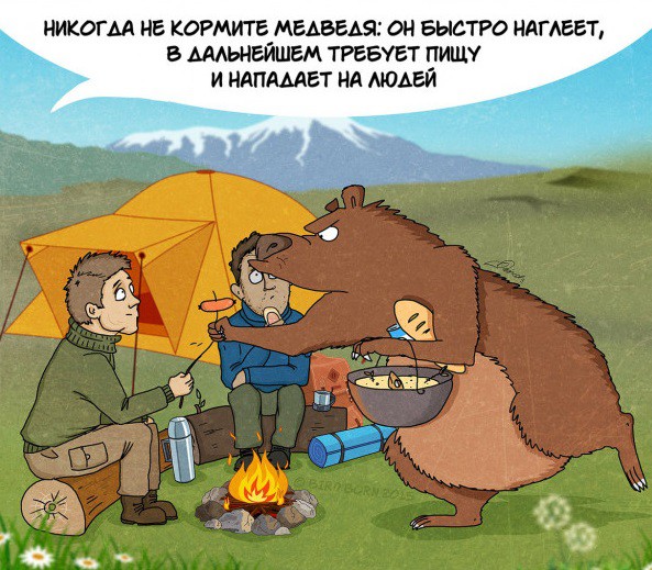 Факты которые нужно знать о медведях