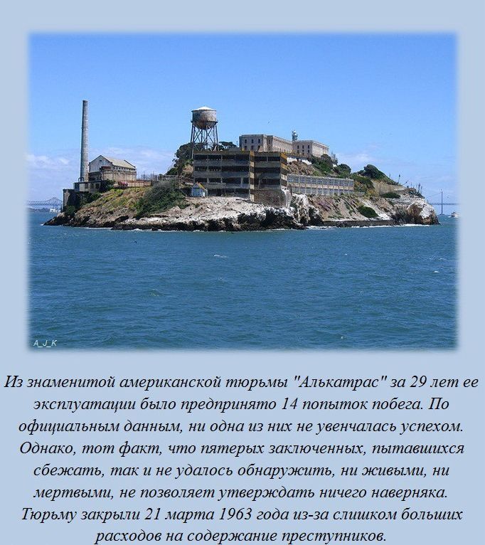 Интересные факты обо всем