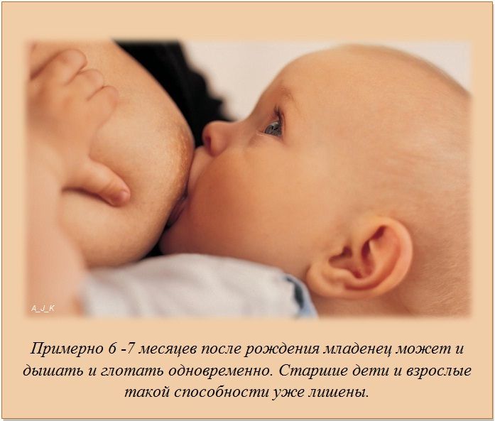 Интересные факты обо всем