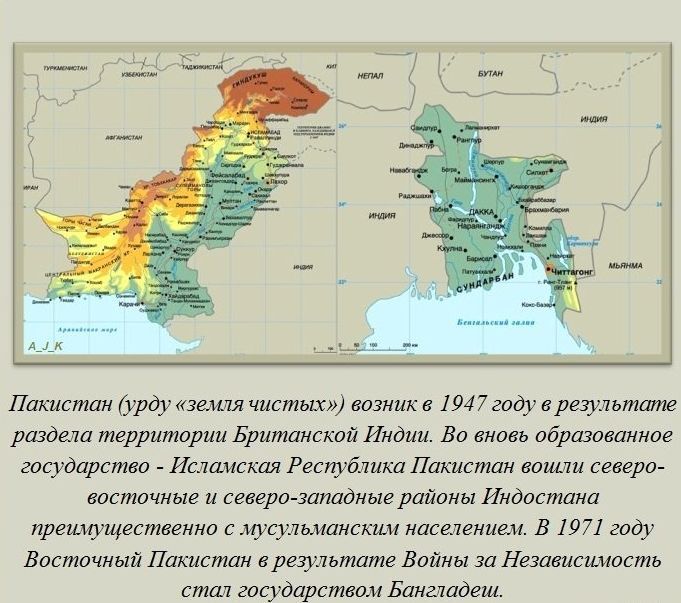 Интересные факты обо всем