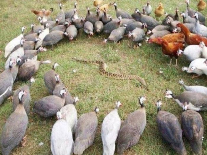 Жуткие фотографии