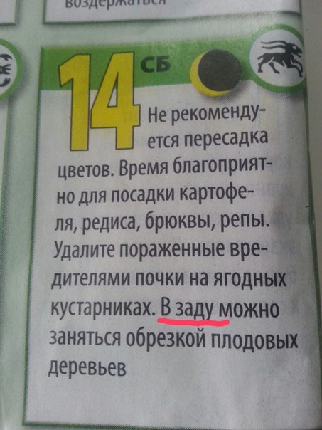 Смешные объявления, вывески и реклама