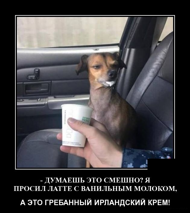 Демотиваторы