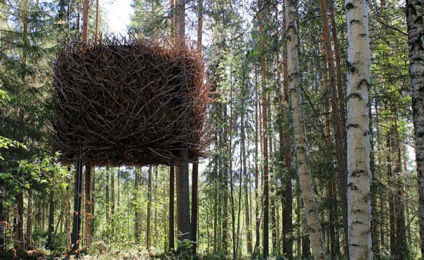 Дома на деревьях (28 фото) Дома на деревьях (28 фото)