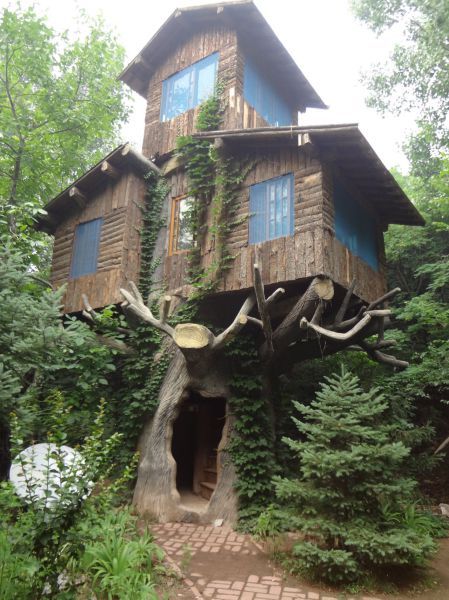 Прикрольные картинки